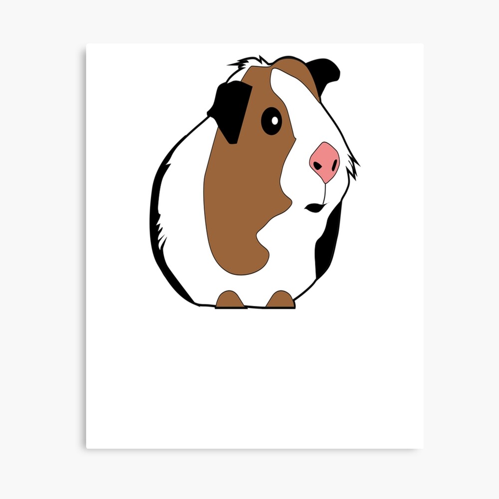 Impression Sur Toile Cochons D Inde Cochon D Inde Mignon Dessin De Cochon D Inde Amoureux De Cochon D Inde Cadeau De Cochon D Inde Par Galvanized Redbubble