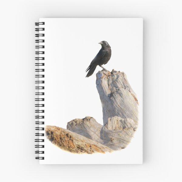 Item preview, Crow on Driftwood 0683-2 designed and sold by Kristina Rinell.