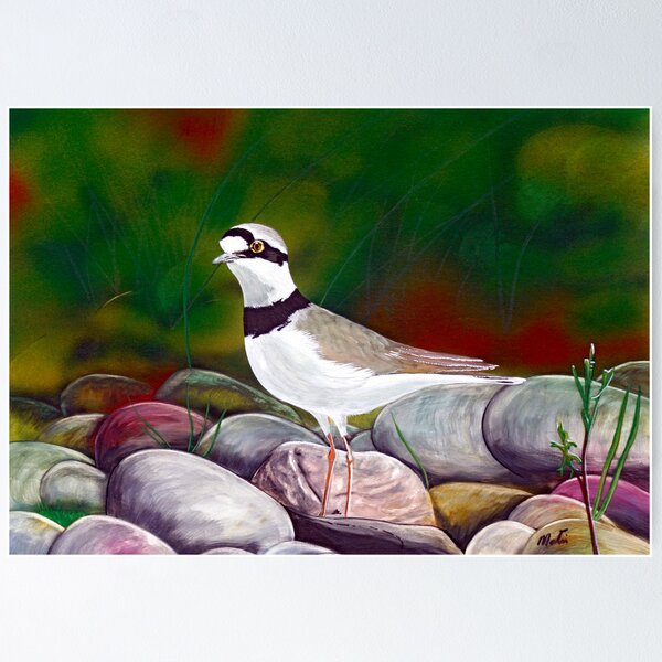 Item preview, Little Ringed Plover designed and sold by sandmartin.