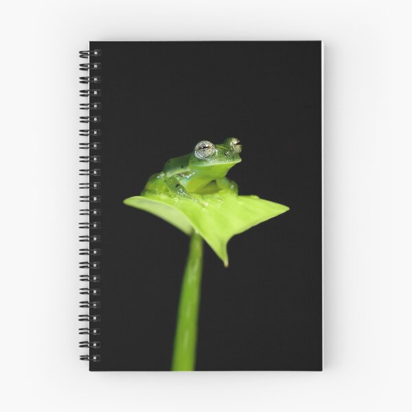 Item preview, Emerald Glass Frog designed and sold by mlorenz.