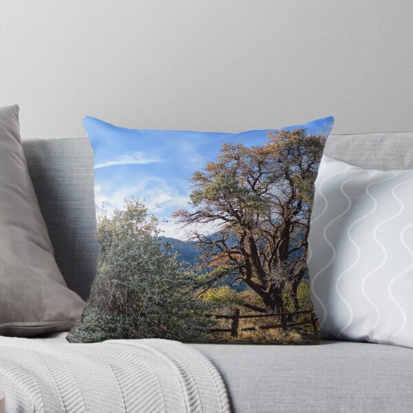Item preview,  Song Of A Desert Morning designed and sold by Glenn McCarthy.