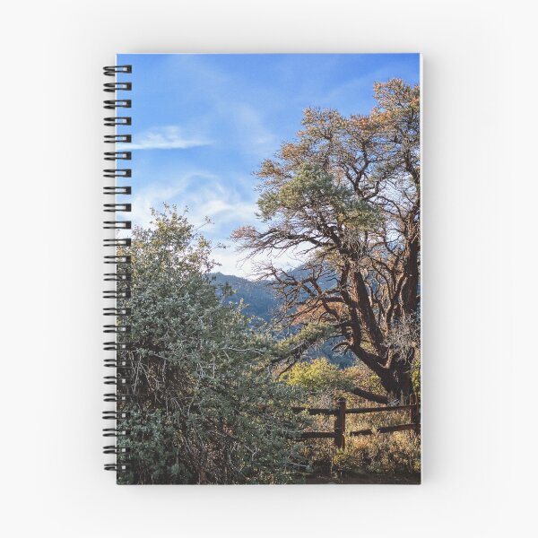 Item preview,  Song Of A Desert Morning designed and sold by Glenn McCarthy.