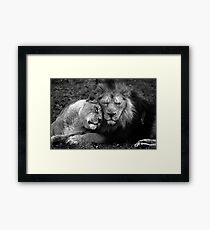 Asiatic Love. Framed Print