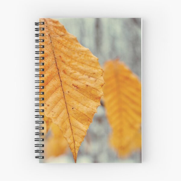 Item preview, Wintering Beech designed and sold by Kathleen Daley.
