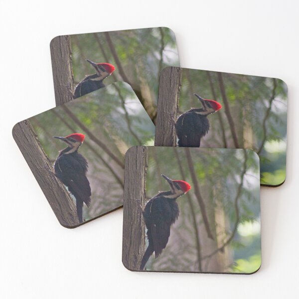 Item preview, Red Crest in the early morning light... designed and sold by RichImage.