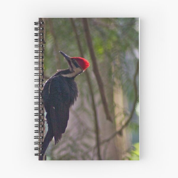 Item preview, Red Crest in the early morning light... designed and sold by RichImage.