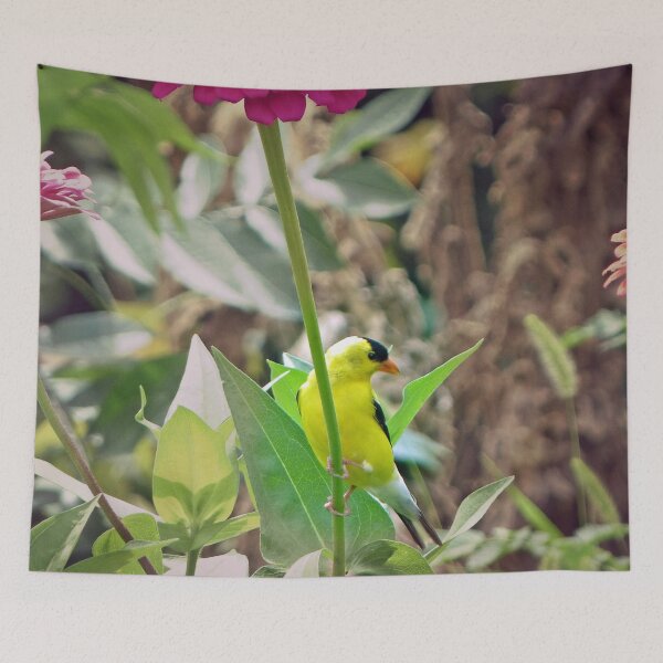 Item preview, Gold Finch designed and sold by Frankie Cat Photography.