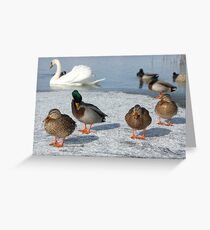 Three Ladies and a gentleman in orange socks Greeting Card