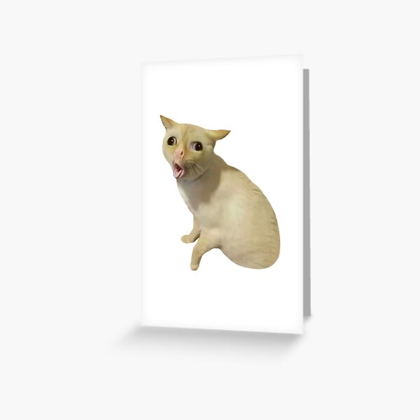 Scrungey Cat Sticker for Sale by fatfatpankocat in 2023