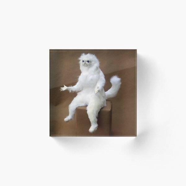 Persian Cat Room Guardian Acrylic Block