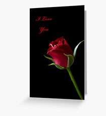 A Valentine Rose Greeting Card