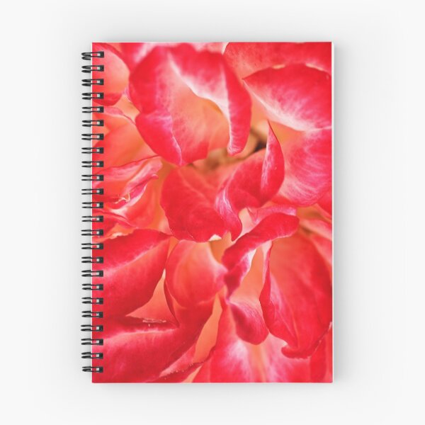 Item preview, Petals Of Rose designed and sold by Joy Watson - Natural Light Photography .