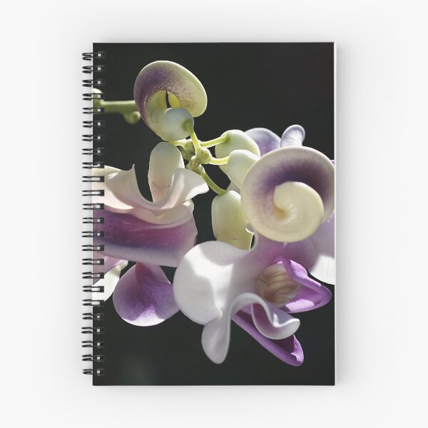 Item preview, Snail Flower designed and sold by Joy Watson - Natural Light Photography .