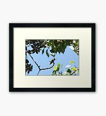 Precious Framed Print
