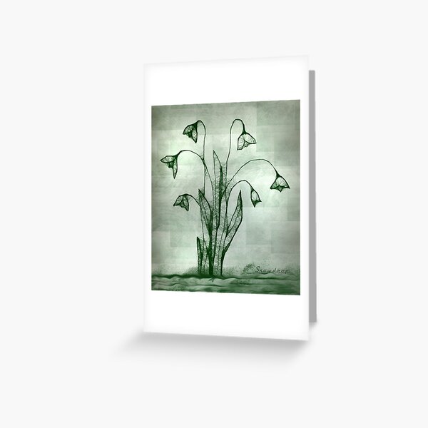 ScribblerSnowdrop Greeting Card