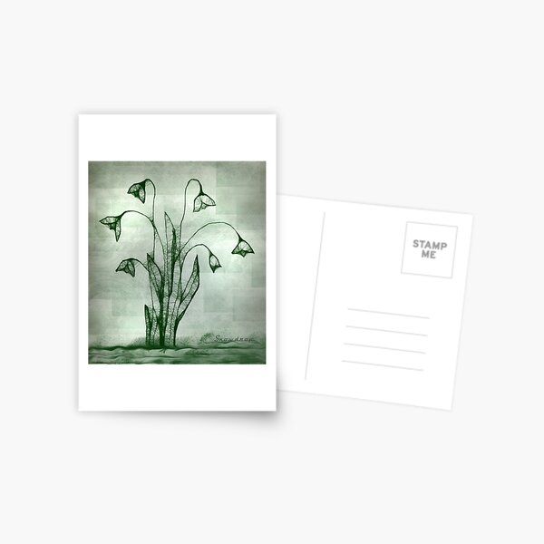 ScribblerSnowdrop Postkarte