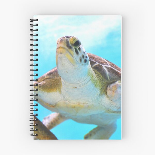 Item preview, Tortuga marina designed and sold by FatHobbit.