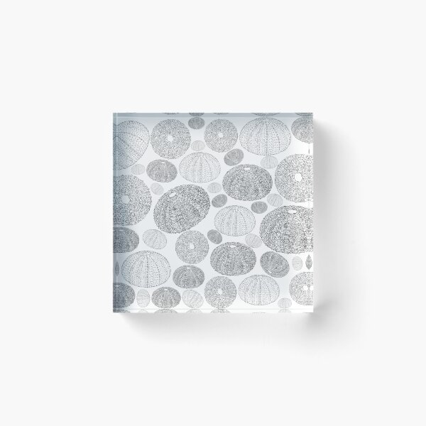Item preview, Sea Urchin Beach Combing designed and sold by tammymicheleart.