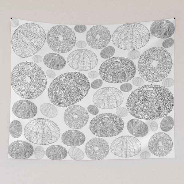 Item preview, Sea Urchin Beach Combing designed and sold by tammymicheleart.