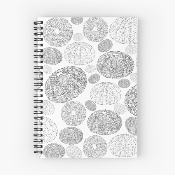 Item preview, Sea Urchin Beach Combing designed and sold by tammymicheleart.
