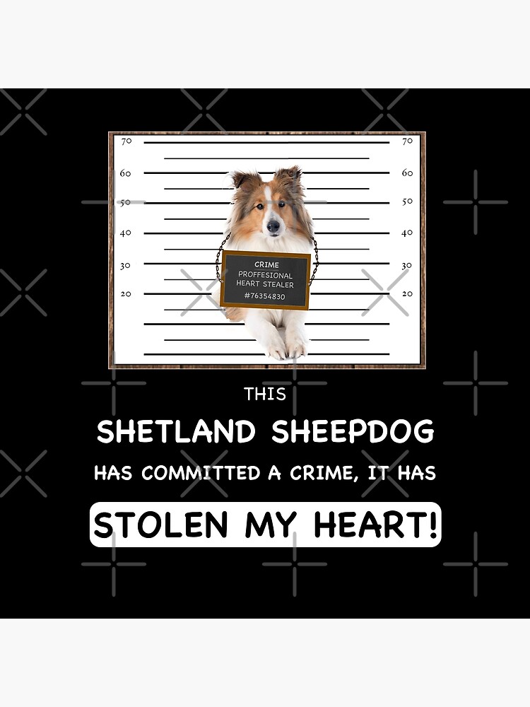 Shetland Sheepdog Mugshot - Funny Shetland Sheepdog Gift For Dog Lover by dog-gifts