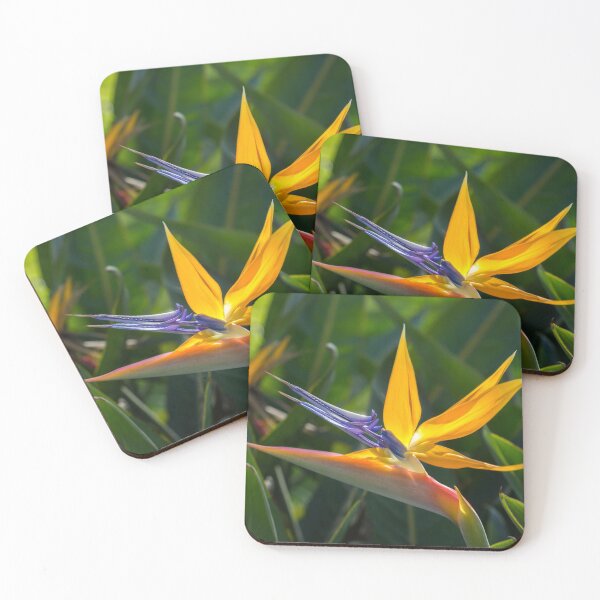 Item preview, Strelitzia Reginae - Bird of Paradise designed and sold by Georgia Mizuleva.