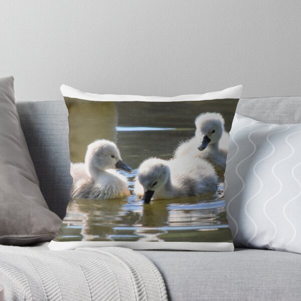 Item preview, Day Old Cygnets designed and sold by maryannaga.