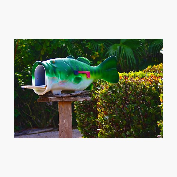 Big Mouth Photographic Print