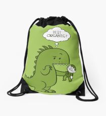 Organic Dinosaur Drawstring Bag