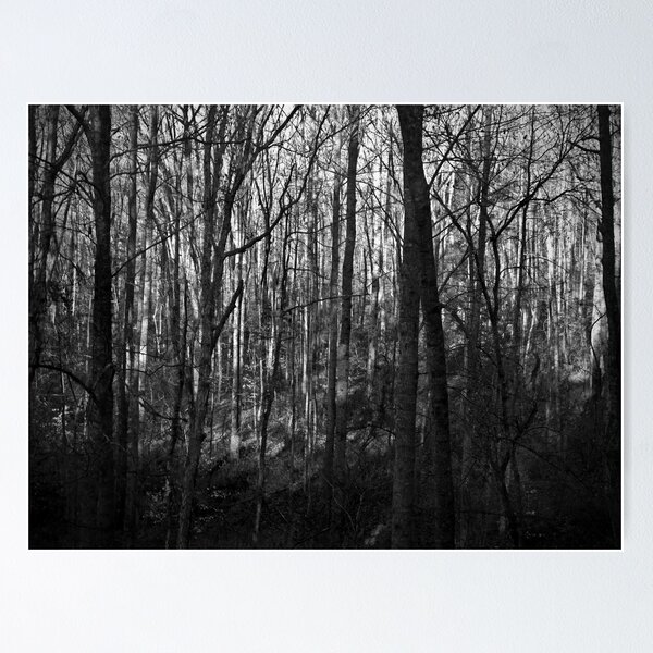 Artikelvorschau, 'Seeing the Forest' entworfen und verkauft von g richard anderson.