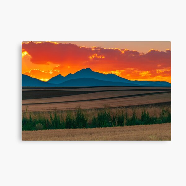 A Line In The Sands Of Light Canvas Print