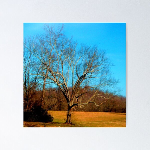 Artikelvorschau, BARE LIMBS entworfen und verkauft von trisha22.
