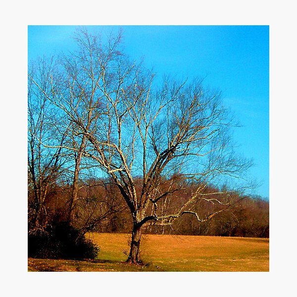 Item preview, BARE LIMBS designed and sold by trisha22.