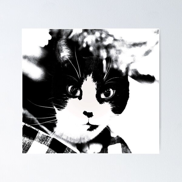 Item preview, Feline Focus designed and sold by DonnaM.