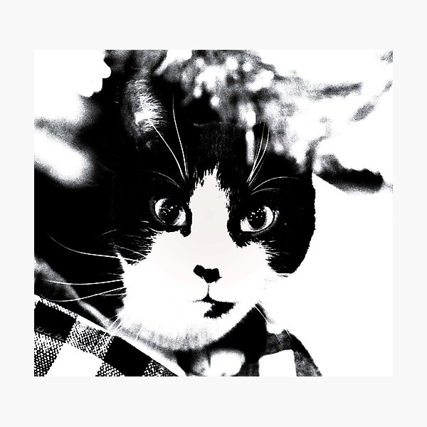 Item preview, Feline Focus designed and sold by DonnaM.