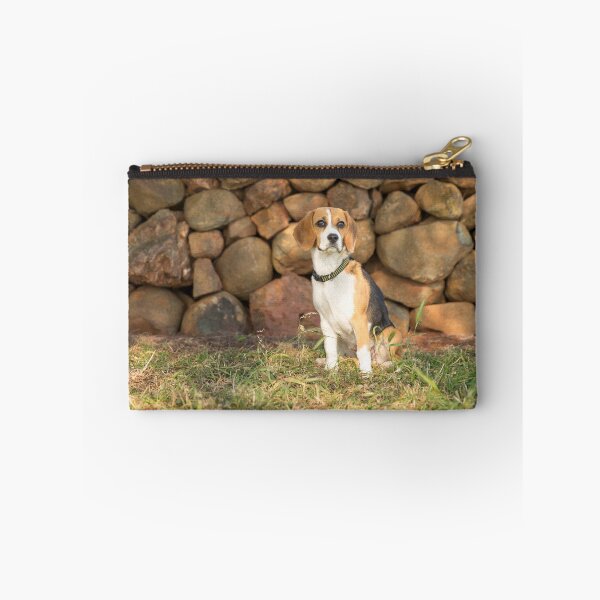 Item preview, Roxie.... Beautiful Beagle.... designed and sold by mitpjenkeating.