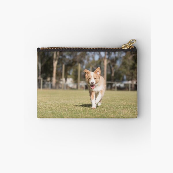 Item preview, Go Bailey...Blonde Border Collie..... designed and sold by mitpjenkeating.