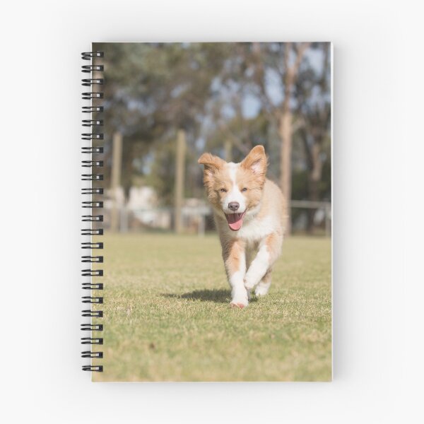 Item preview, Go Bailey...Blonde Border Collie..... designed and sold by mitpjenkeating.