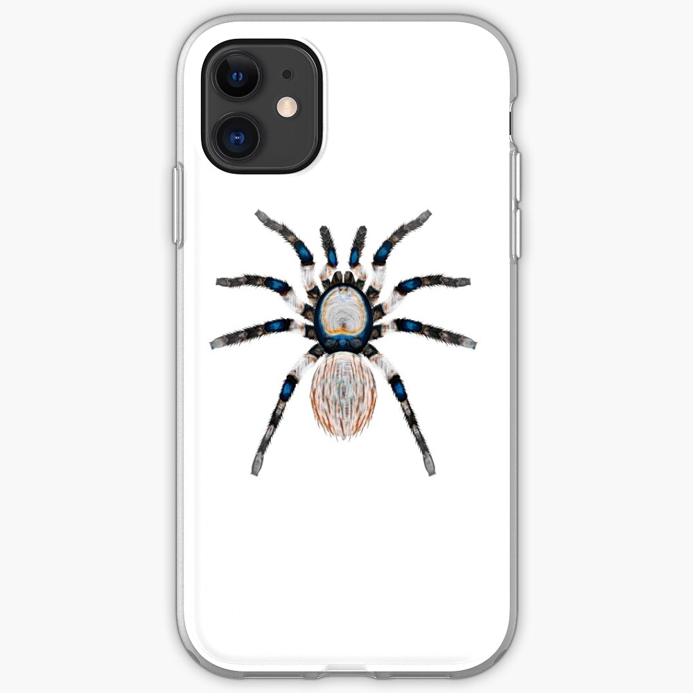 Desert Spider Hues iPhone Case & Cover