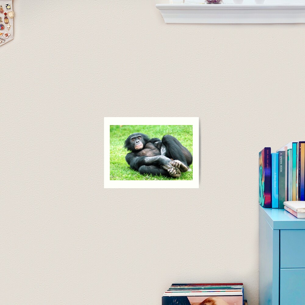 Bonobo Aerobics Art Print