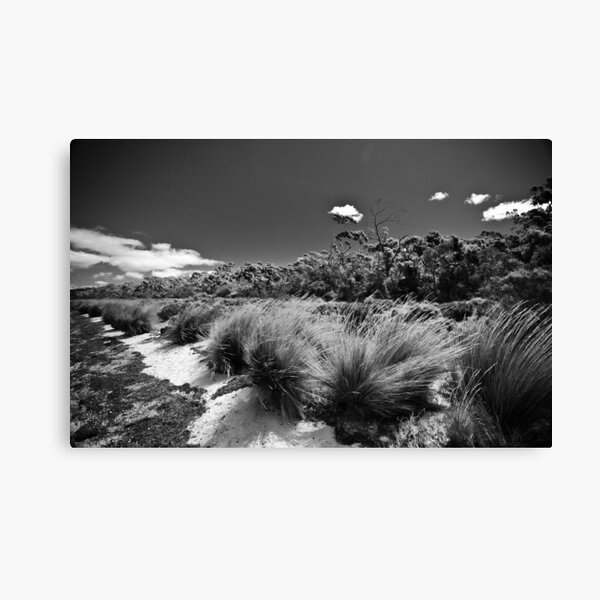 Coastal Walk Canvas Print