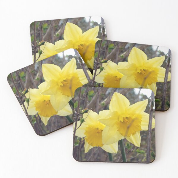 Item preview, Yellow Daffodils designed and sold by pinkal.