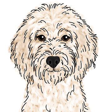 Artwork thumbnail, Cream Goldendoodle by ktscanvases