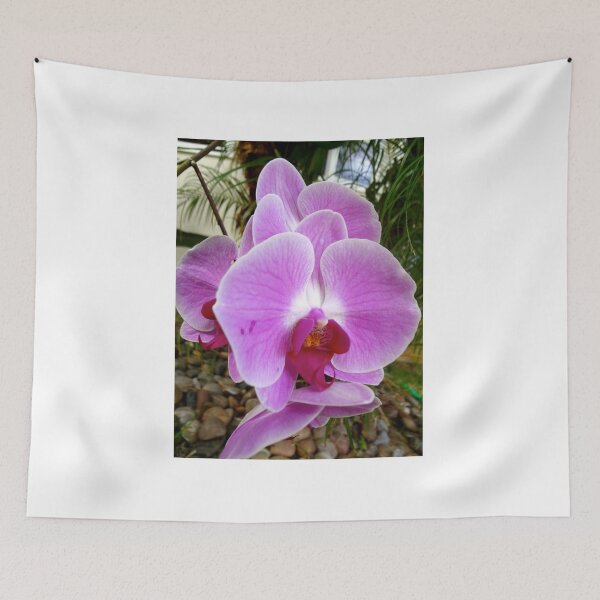 Item preview, Lavender Orchid Petals designed and sold by jennyleeandjim.