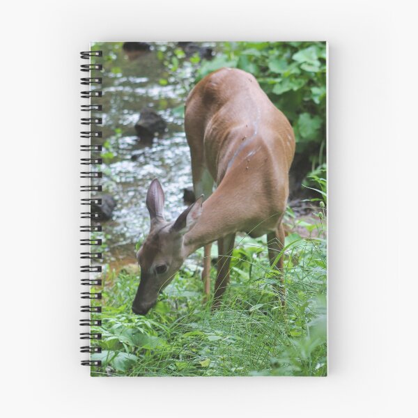 Item preview, Wild deer - Canada designed and sold by JEmerald.
