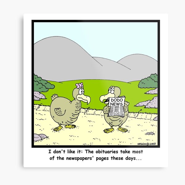 Dodo News Metal Print