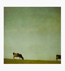One and a half Photographic Print
