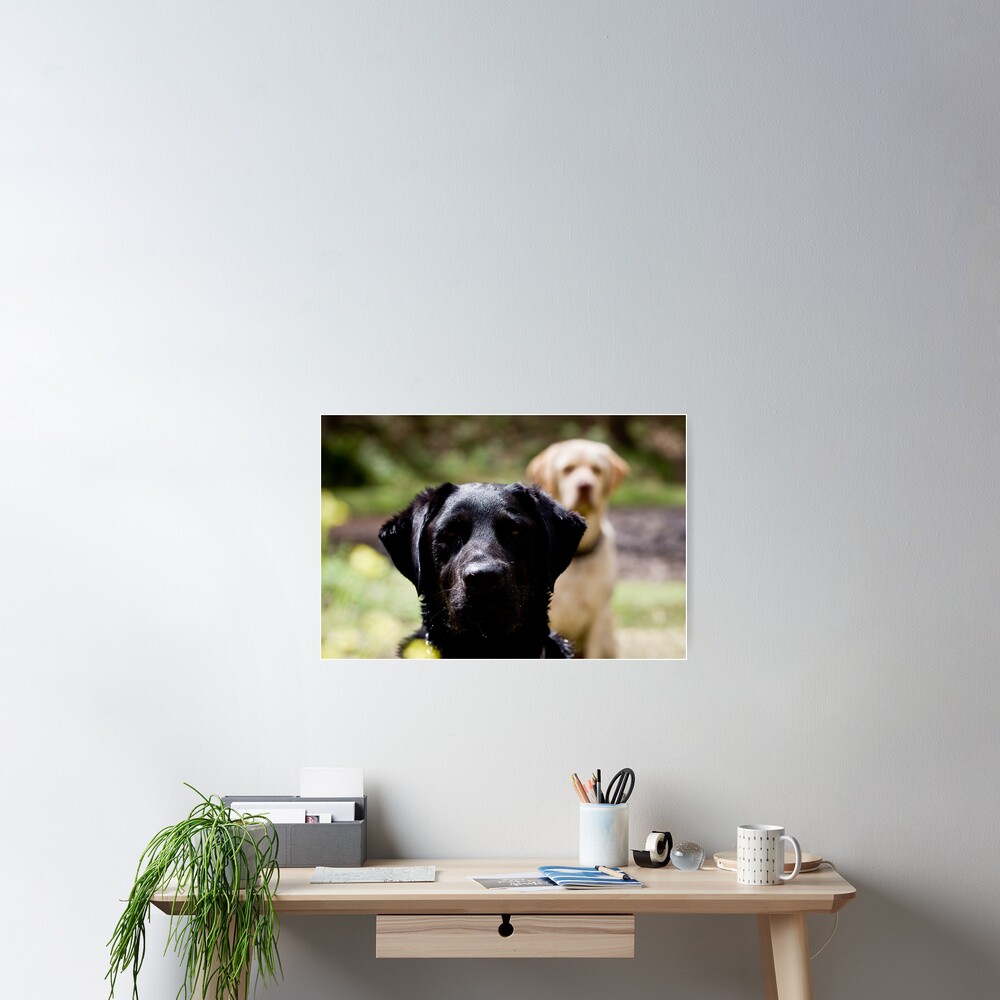 Item preview, Poster designed and sold by cazzaritch.