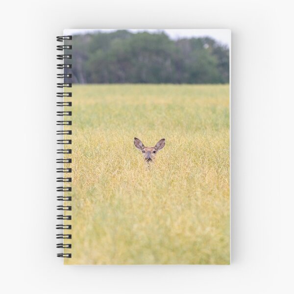 Item preview, Deer in a Field designed and sold by Don Arsenault.