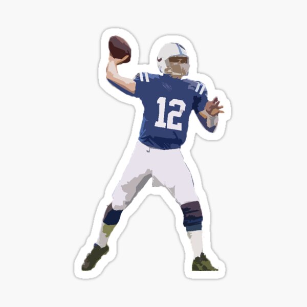 Indianapolis Colts Mascot NFL Sticker for Sale by mandarinolive